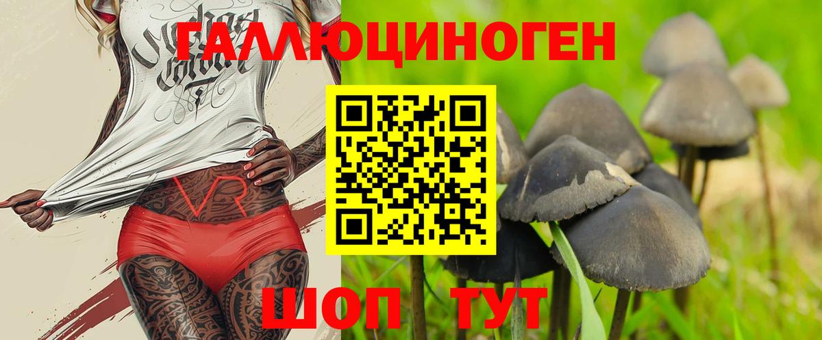 Галлюциногенные грибы мухоморы  Вход с VPN  Артём 